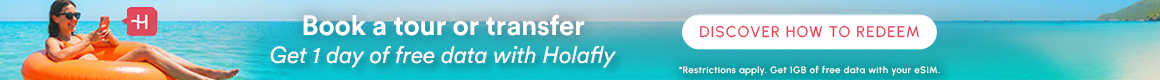 Banner Campaign HolaFly
